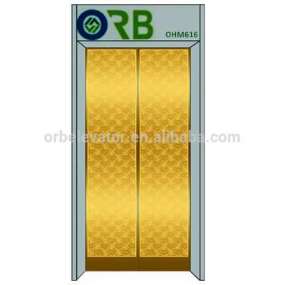 Residential Small Home Lift Elevator Door Panel, Lift Elevator Landing Door Panel